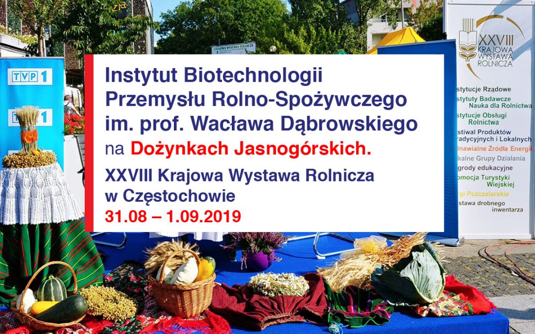 Dożynki Jasnogórskie w Częstochowie: IBPRS na XXVIII Krajowej Wystawie Rolniczej.