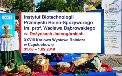 Dożynki Jasnogórskie w Częstochowie: IBPRS na XXVIII Krajowej Wystawie Rolniczej.