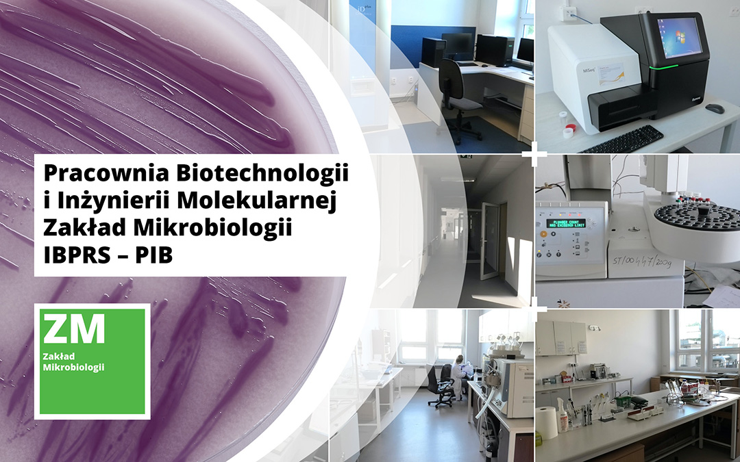 PRACOWNIA BIOTECHNOLOGII I INŻYNIERII MOLEKULARNEJ ZAKŁAD MIKROBIOLOGII