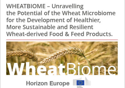 WHEATBIOME – Unravelling the Potential of the Wheat Microbiome for the Development of Healthier, More Sustainable and Resilient Wheat-derived Food & Feed Products