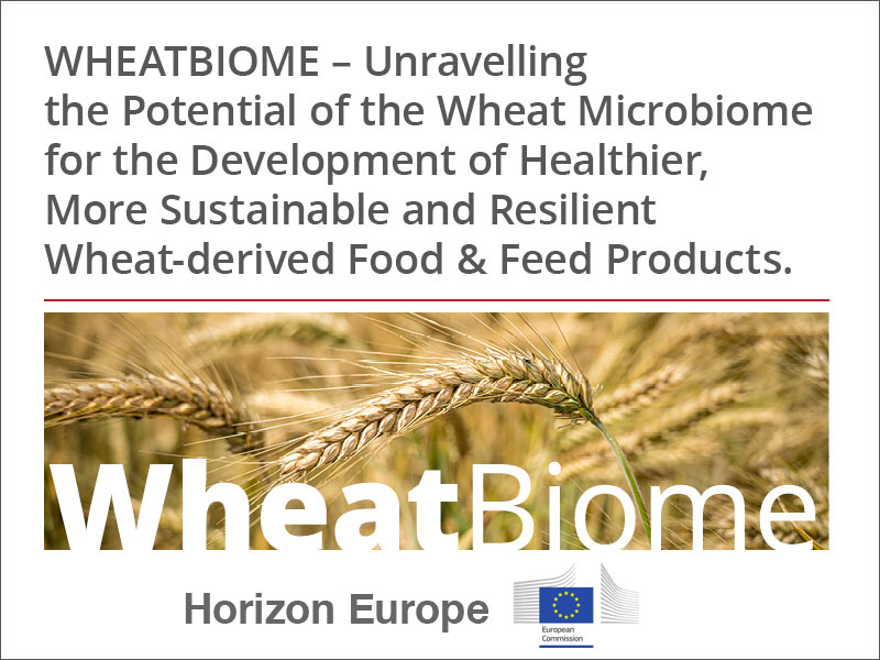 Wheatbiome_graphic-1_Horizon_Europe