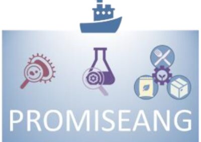 PROMISEANG – Alternative PROteins from MIcrobial fermentation of non-conventional SEA sources for Next-Generation food, feed and non-food bio-based applications