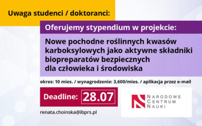 Stypendium dla studenta / doktoranta