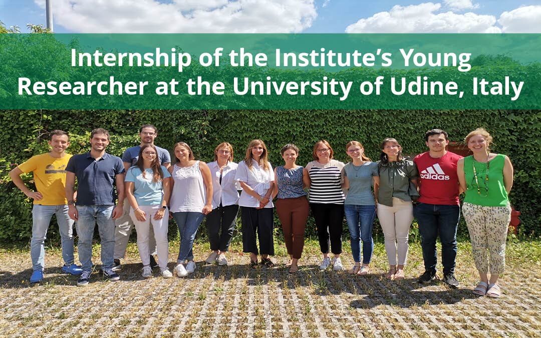 Internship of the Institute’s Young Researcher at the University of Udine, Italy
