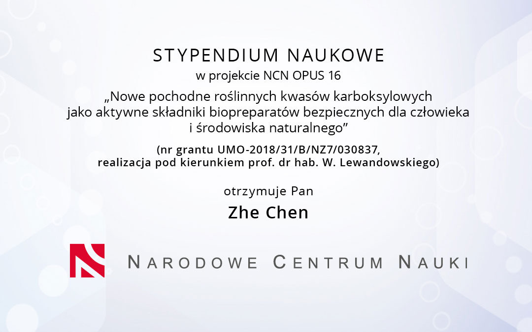 Stypendium dla Pana Zhe Chen – gratulacje!