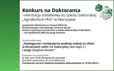 Konkurs na doktoranta