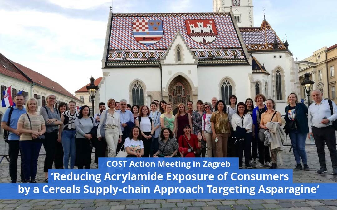 COST Action Meeting in Zagreb – ‘Reducing Acrylamide Exposure of Consumers by a Cereals Supply-chain Approach Targeting Asparagine’