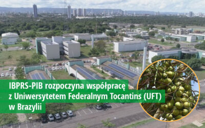 Rozpoczynamy współpracę z Uniwersytetem Federalnym Tocantins (UFT) w Brazylii