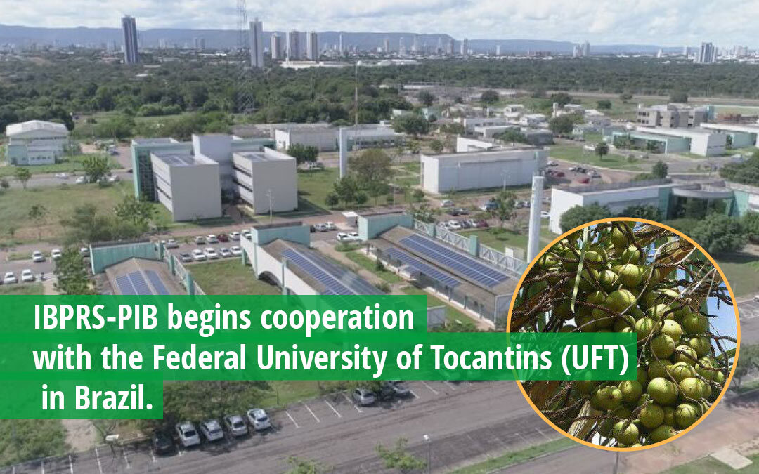 IBPRS-PIB begins cooperation with the Federal University of Tocantins (UFT) in Brazil
