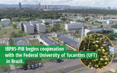 IBPRS-PIB begins cooperation with the Federal University of Tocantins (UFT) in Brazil