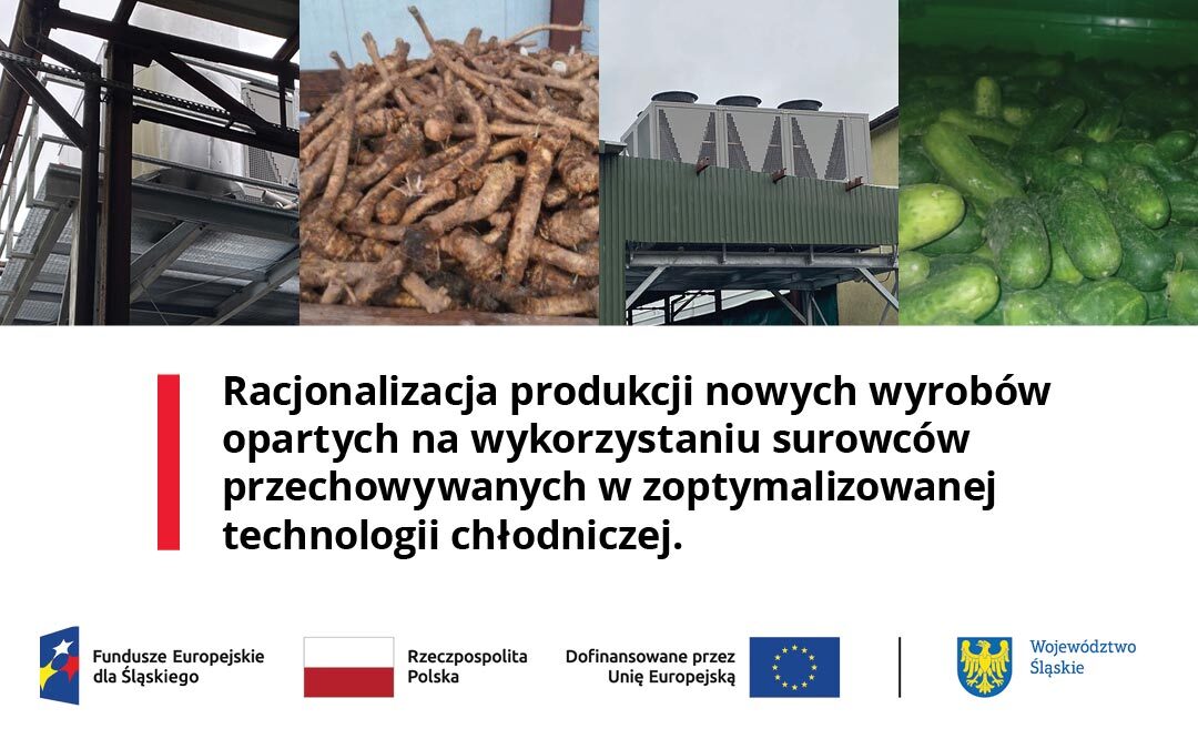 Nowy projekt w IBPRS-PIB!
