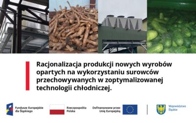 Nowy projekt w IBPRS-PIB!